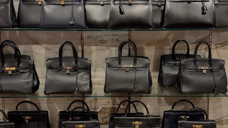 - Passaporte Fashionista